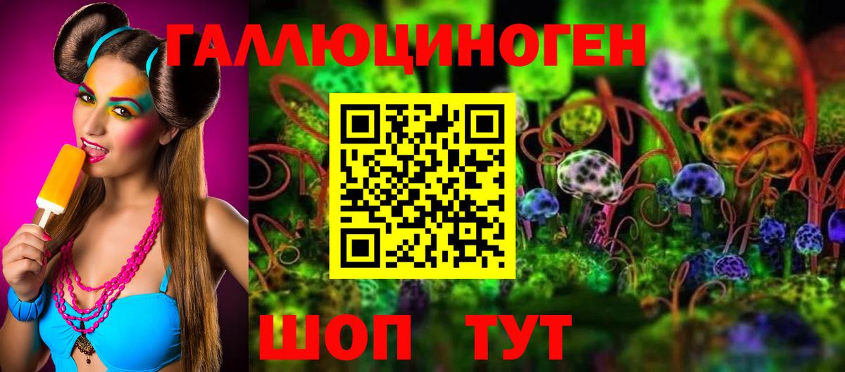 Новоалександровск  Псилоцибиновые грибы мухоморы  Вход с VPN 